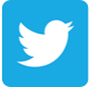 Icon Twitter