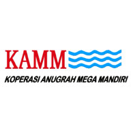 Icon KAMM