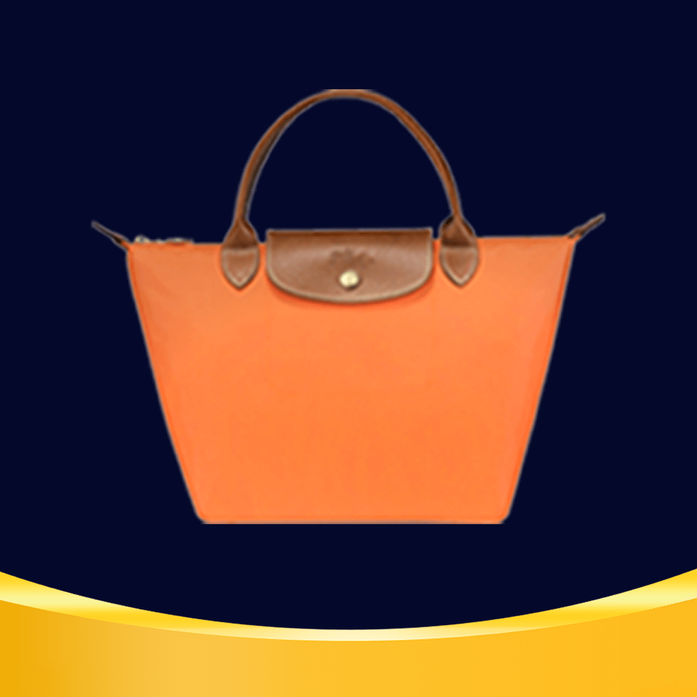 Icon reward Tas Longchamp Le Pliage