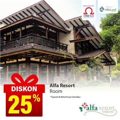 Special Offer ALFA RESORT